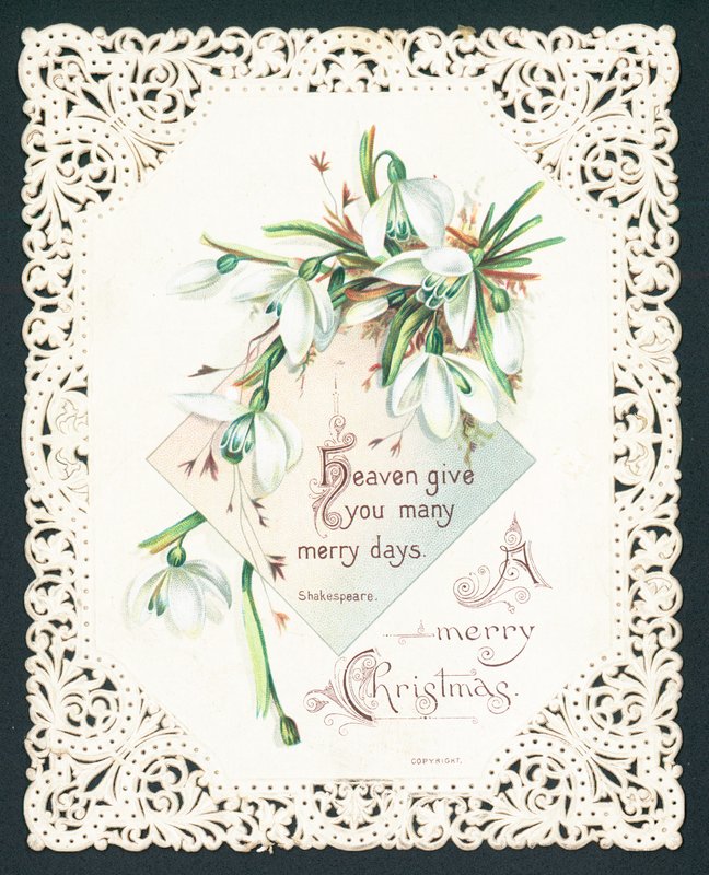 Snowdrops, cartão de Natal de English School