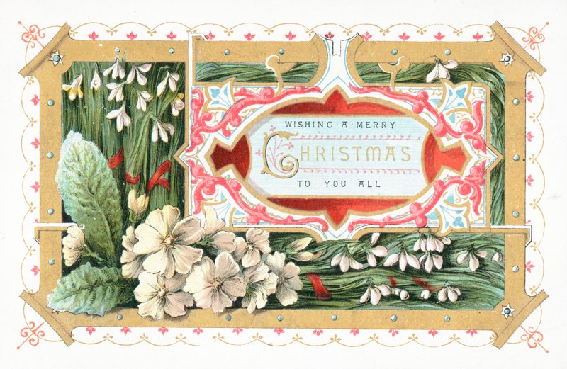 Snowdrops e flores, cartão de Natal de English School