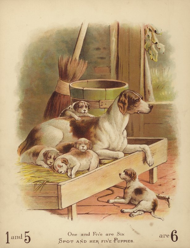 A Mancha e os seus cinco cachorros (cromolito) de English School