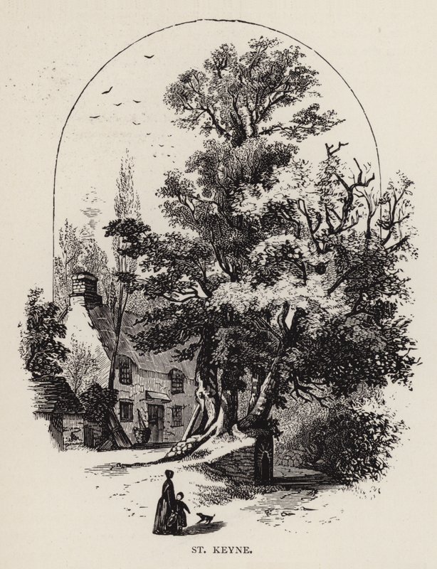 St Keyne (gravura) de English School