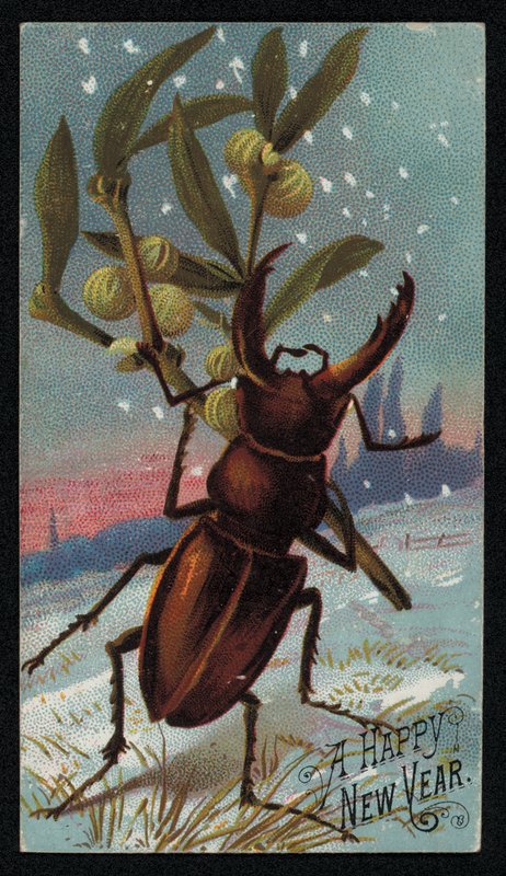 Escaravelho de veado carregando visco numa cena de inverno, cartão de boas festas de Natal (chromolitho) de English School