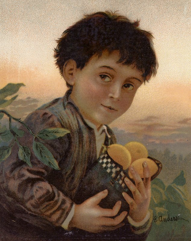 Fruta roubada (cor litho) de English School