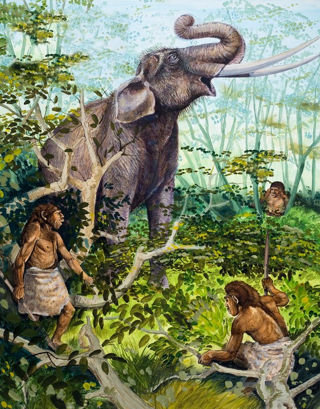 Homem e Elefante da Idade da Pedra de English School