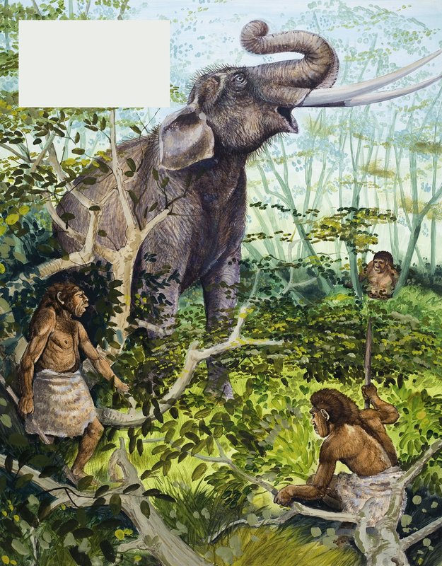 Homem da Idade da Pedra e Elefante de English School