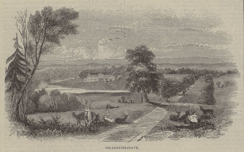 Strathfieldsaye de English School