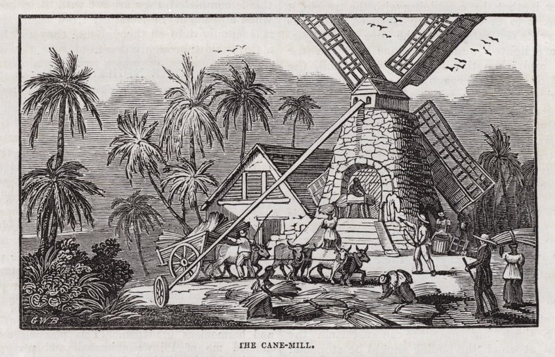Produção de açúcar (gravura) de English School