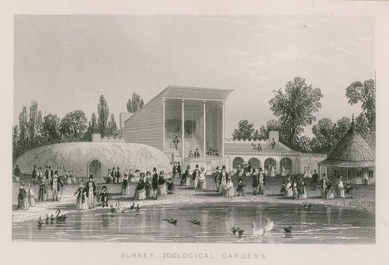 Jardins zoológicos de Surrey de English School