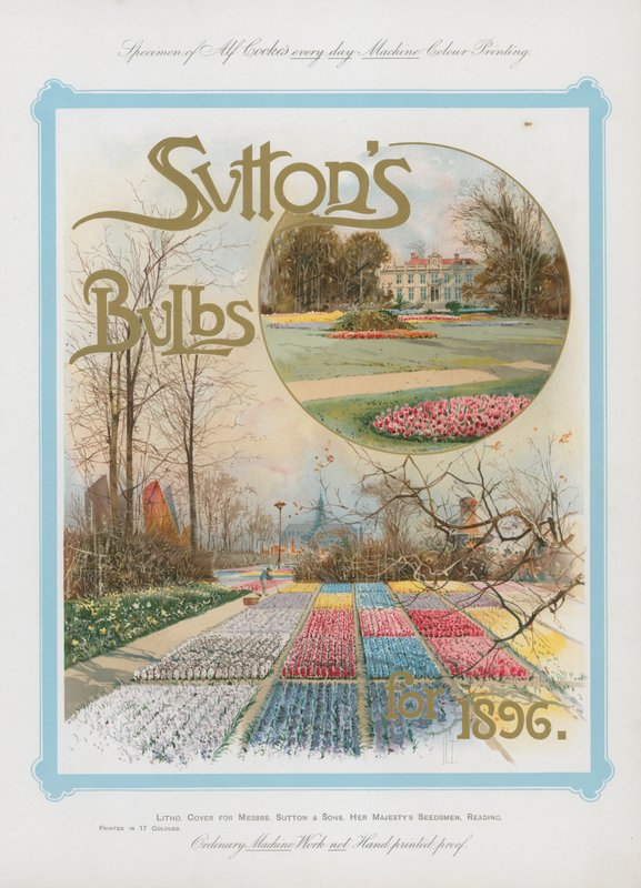 Lâmpadas Suttons para 1896 de English School