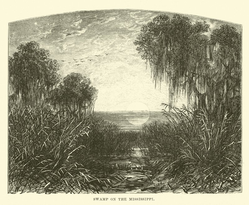 Pântano no Mississippi de English School