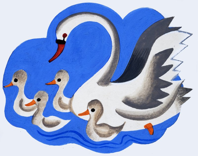 Cisne e cygnets de English School