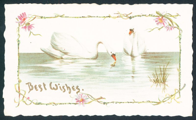 Cisnes no lago, cartão de Natal de English School