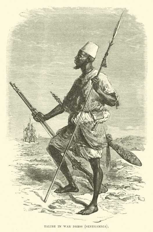 Talibe em vestido de guerra, Senegambia de English School