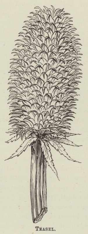 Chásel (gravura) de English School