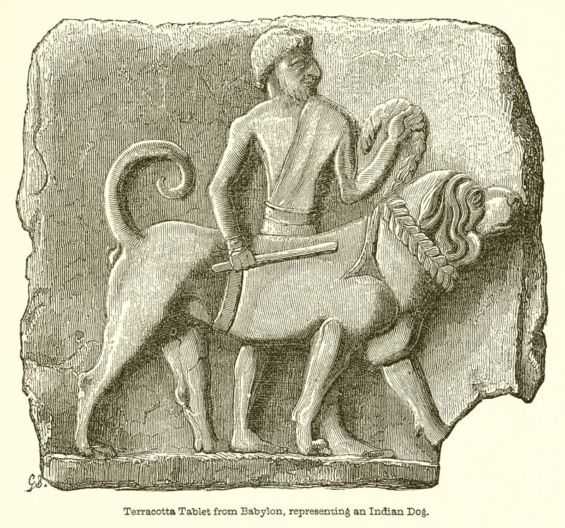 Tablet de Terracota da Babilônia, Representando um Cão Indiano de English School