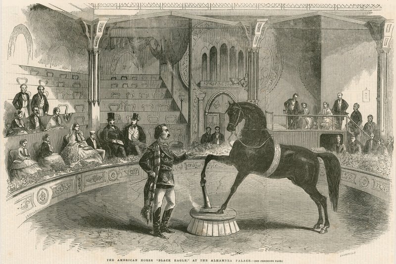 A, cavalo americano, águia preta, em, a, alhambra, palácio, (Alhambra, Theatre), leicester, quadrado, londres de English School