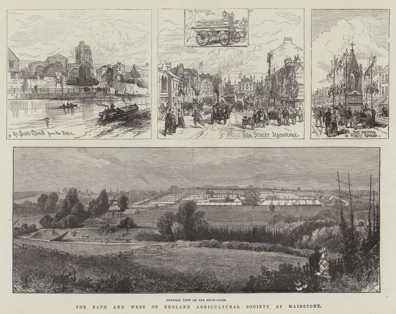 The Bath and West of England Agricultural Society at Maidstone (gravura) de English School