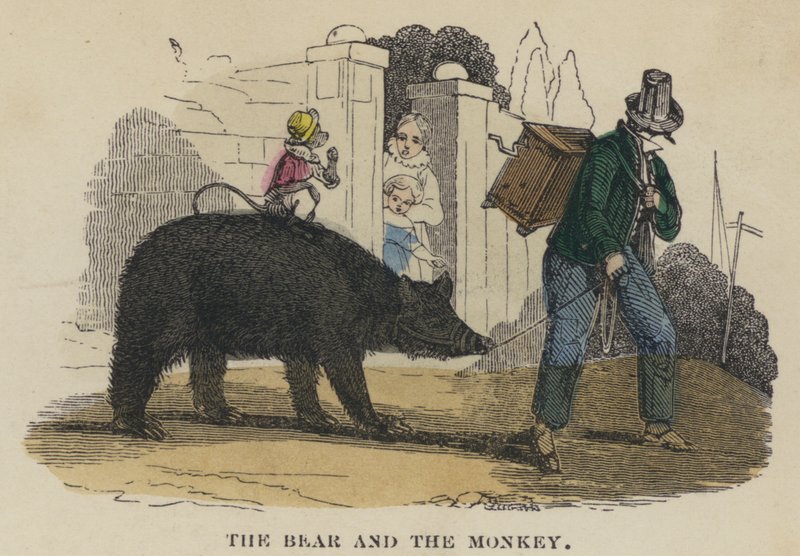 O Urso e o Macaco (gravura colorida) de English School