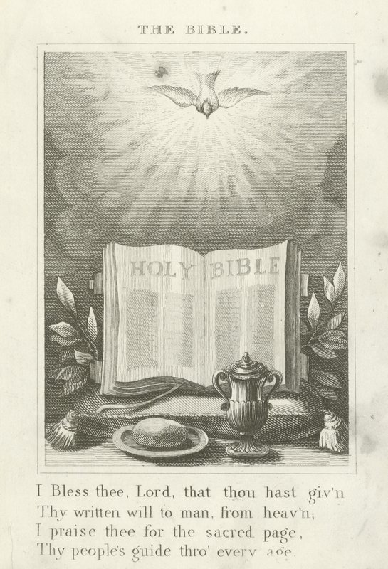 A Bíblia de English School