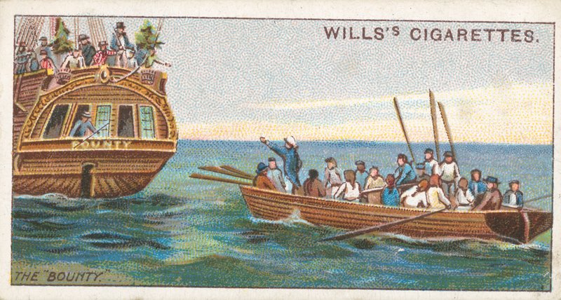 O &39;Bounty&39; de English School