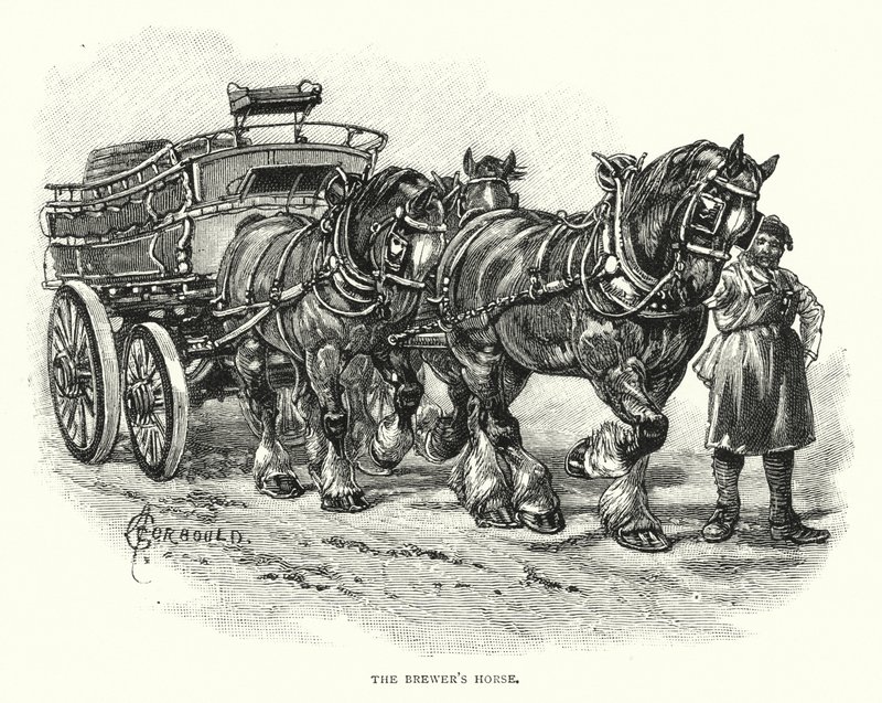 O Cavalo da Cerveja (gravura) de English School