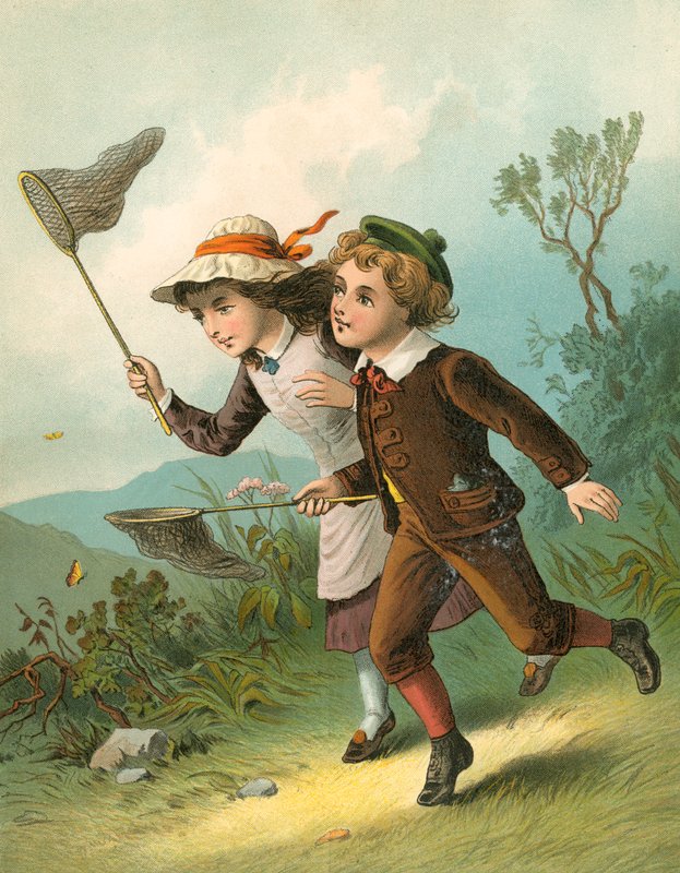 A caça às borboletas de English School