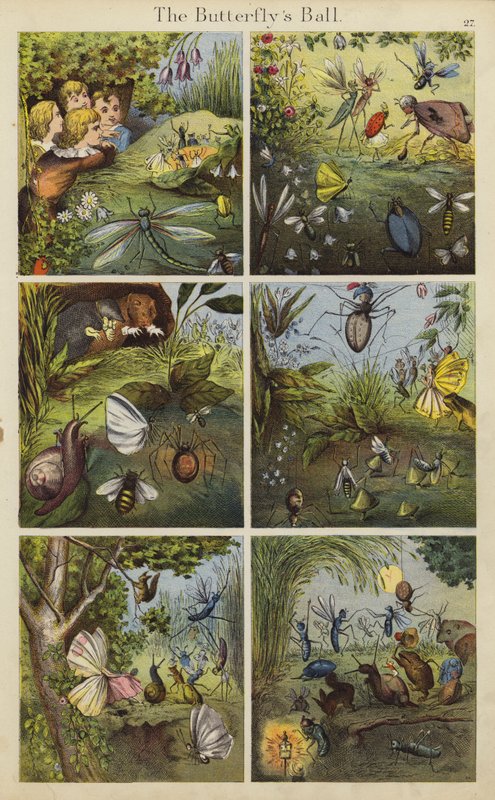 O Baile das Borboletas (cor litho) de English School