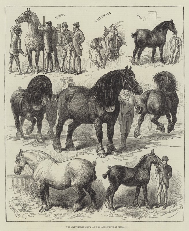 O Salão do Cavalo no Salão da Agricultura (gravura) de English School