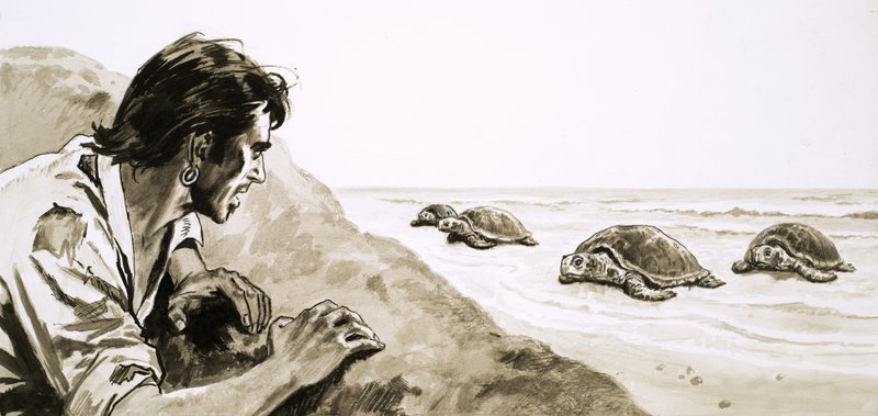 Os náufragos: Terror da Ilha da Tartaruga de English School