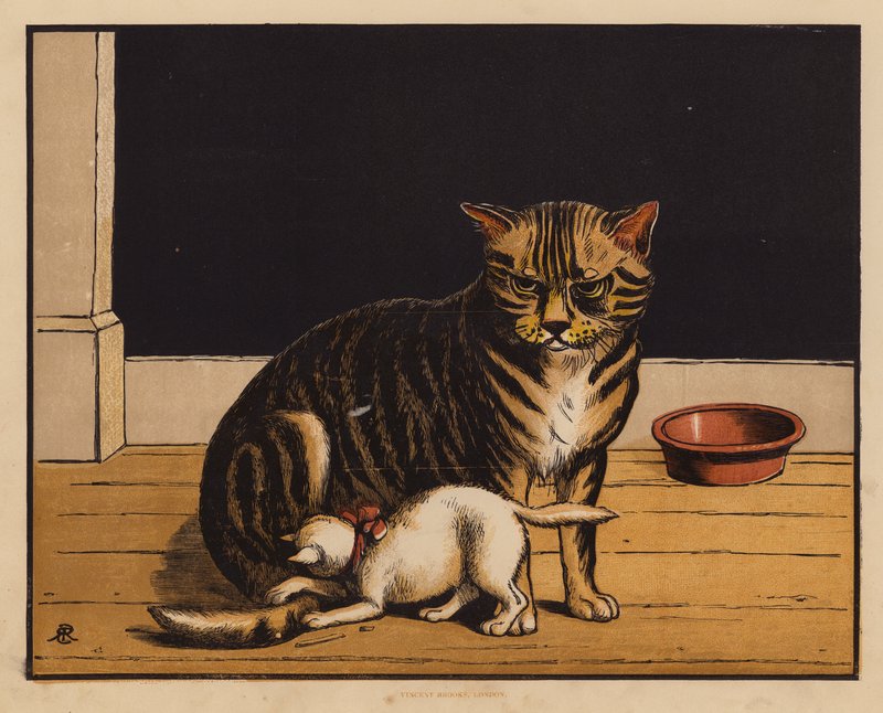 O gato (litografia a cores) de English School