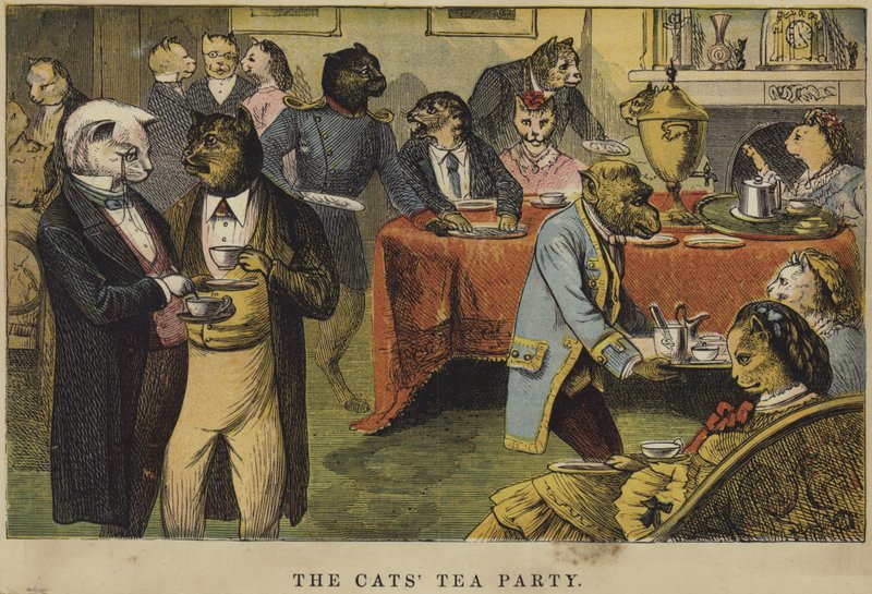 O tea party dos gatos de English School