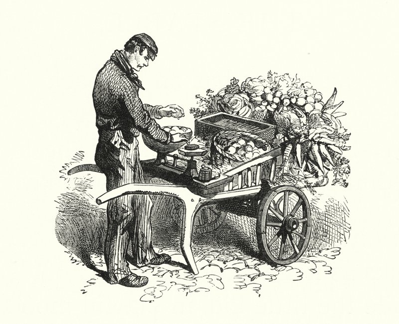 O Costermonger (gravura) de English School