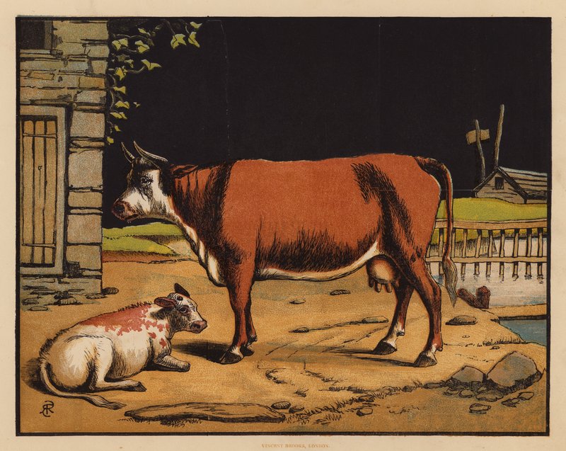 A Vaca (litografia a cores) de English School