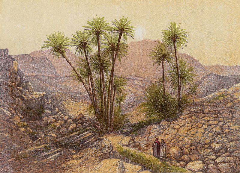 O deserto do Sinai (litografia a cores) de English School