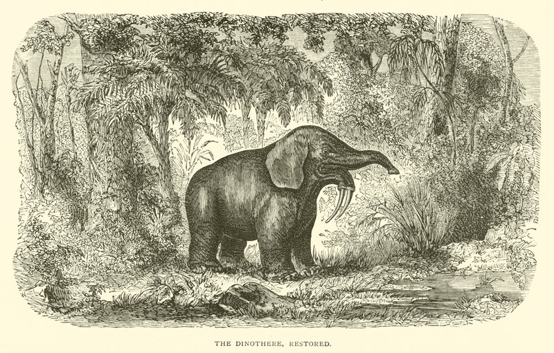 A Dinothere, restaurada (gravura) de English School