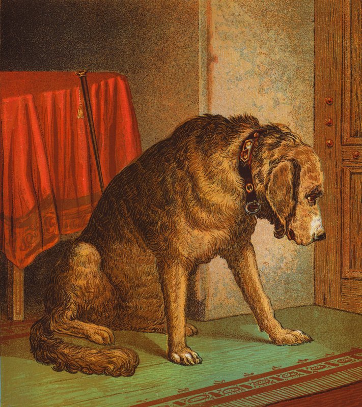 O animal de estimação do médico (litografia a cores) de English School