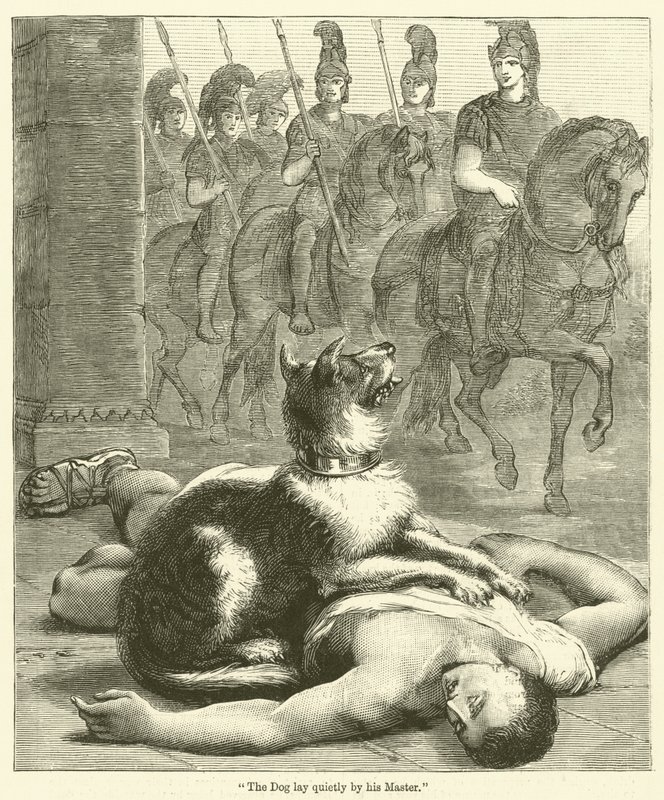 "O cão estava deitado em silêncio por seu mestre" de English School