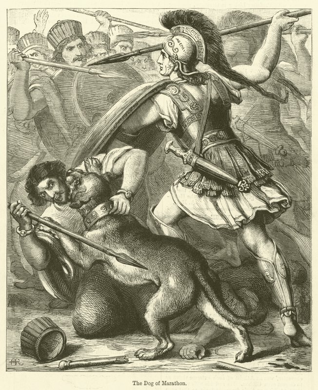 O Cão de Maratona (gravura) de English School