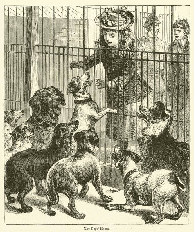 A casa dos cães (gravura) de English School