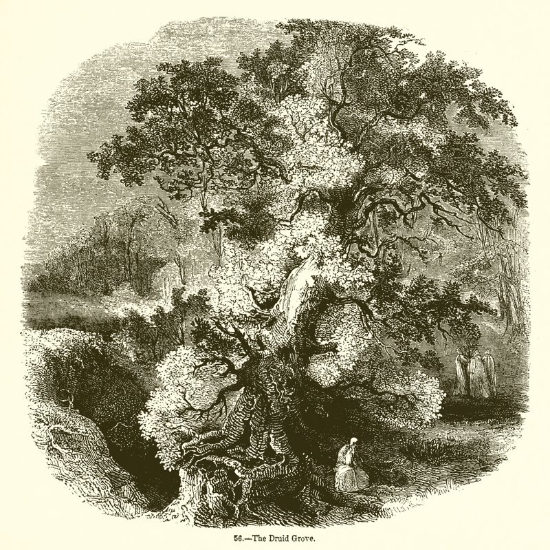 The Druid Grove de English School
