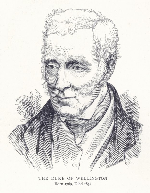 O duque de Wellington de English School