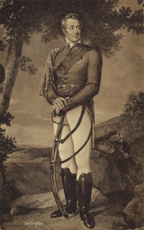 O duque de Wellington de English School