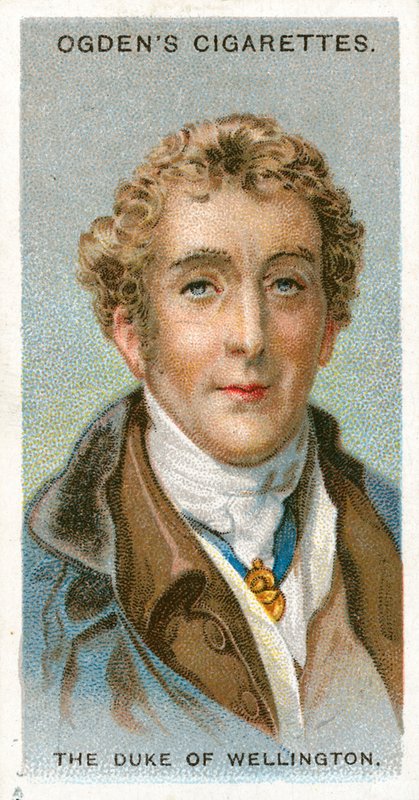 O duque de Wellington de English School