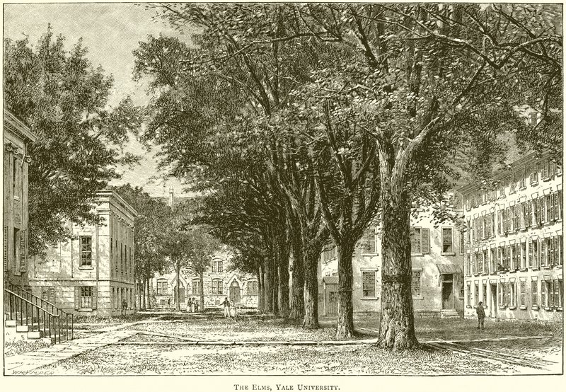 The Elms, Universidade de Yale de English School