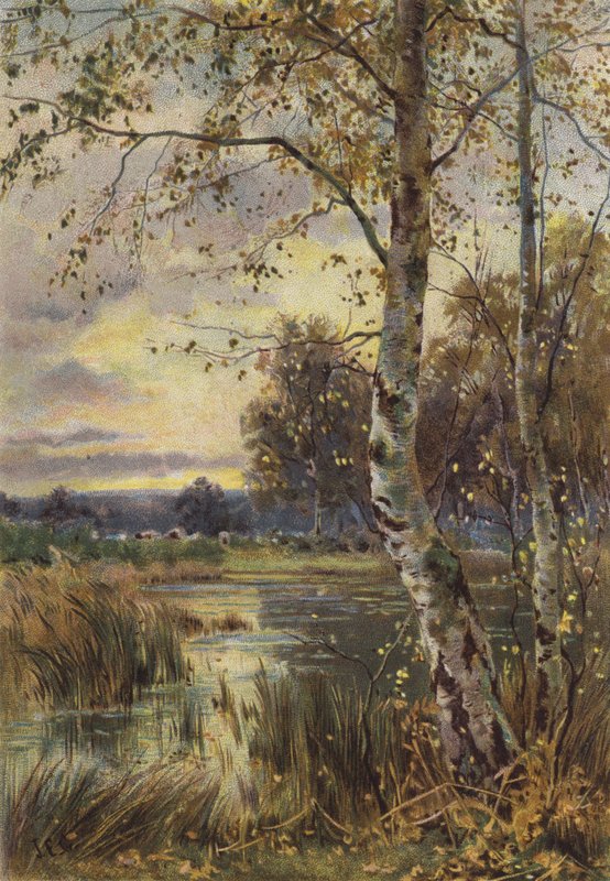 The Falling Leaf (chromolitho) de English School