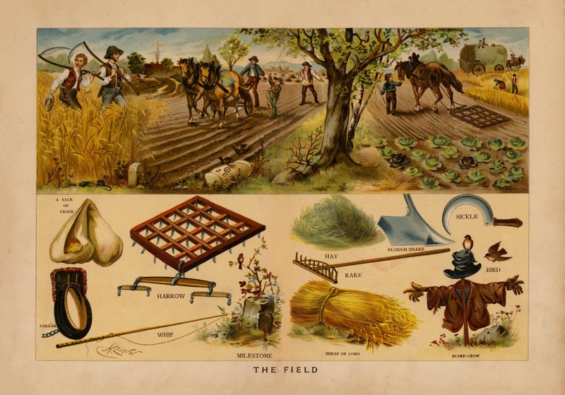 O Campo (litografia a cores) de English School