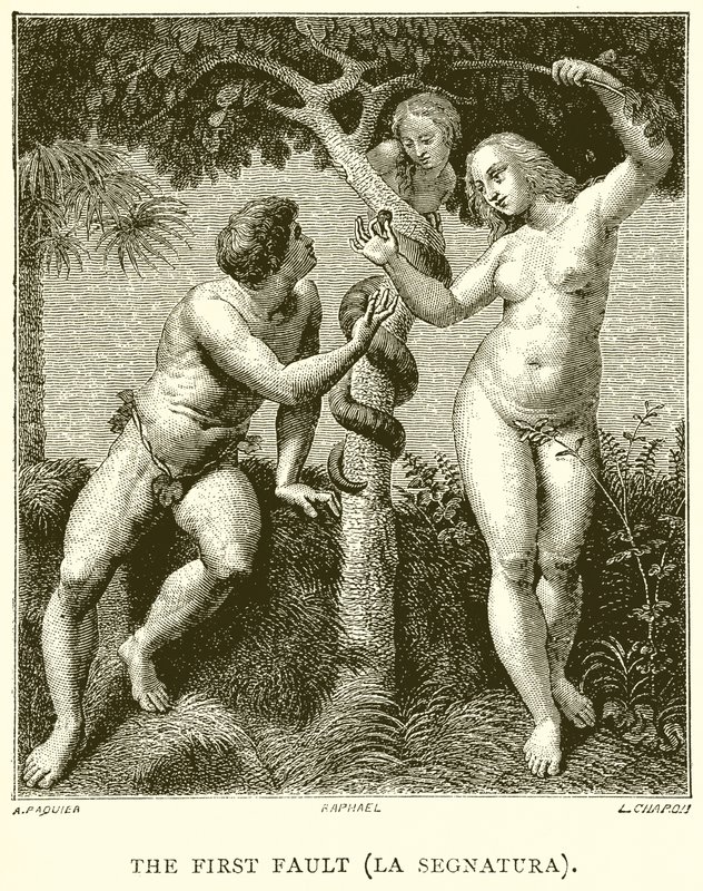 A primeira falha (La Segnatura) de English School