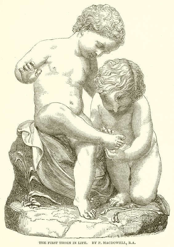 O primeiro espinho na vida. De P. Macdowell, R. A de English School