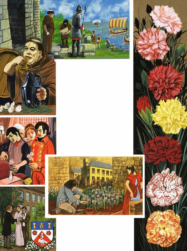 As flores que florescem: cravos brilhantes de English School