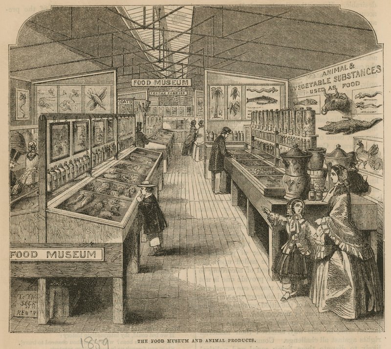 O Museu do Alimento e Produtos Animais, South Kensington Museum de English School