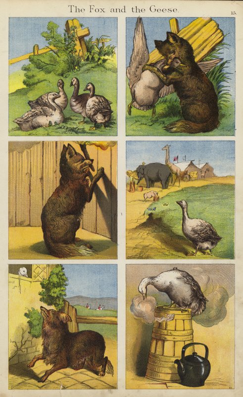 A Raposa e os Gansos (cor litho) de English School